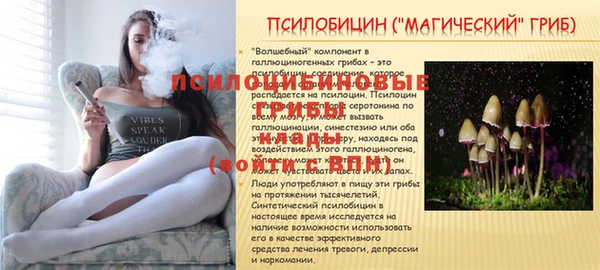 марки lsd Белоозёрский